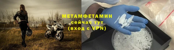 прущие грибы Богородицк