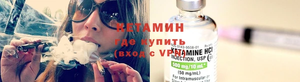 прущие грибы Богородицк