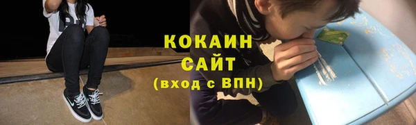 прущие грибы Богородицк
