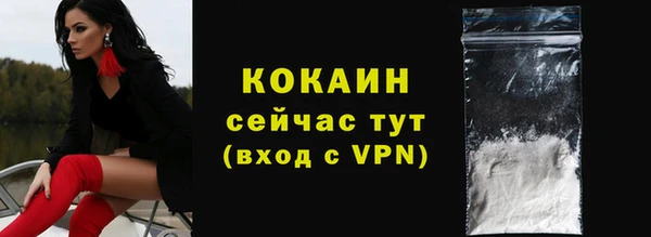 прущие грибы Богородицк