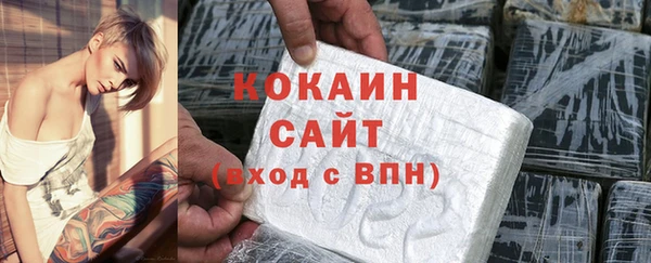 прущие грибы Богородицк