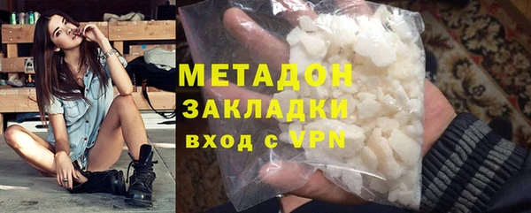 прущие грибы Богородицк