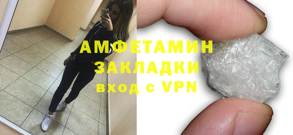 прущие грибы Богородицк